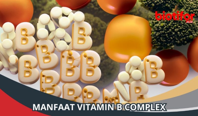 vitamin B complex